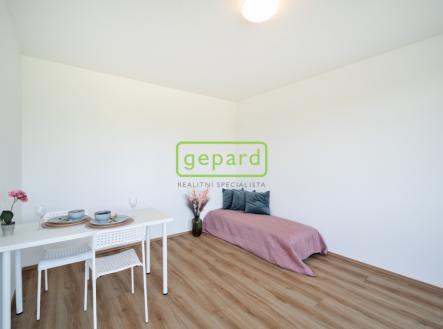 Pronájem bytu, 1+kk, 28 m²