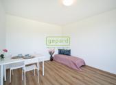 Pronájem bytu, 1+kk, 28 m²