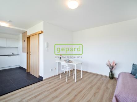 Pronájem bytu, 1+kk, 28 m²