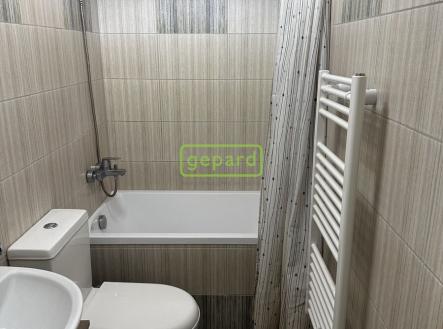 Prodej bytu, 1+1, 45 m²