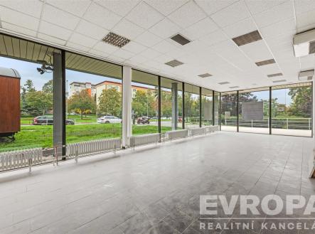 Pronájem obchodní prostory, 112 m²