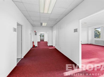 Pronájem kanceláře, 19 m²