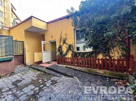 Pronájem obchodní prostor, 300 m²