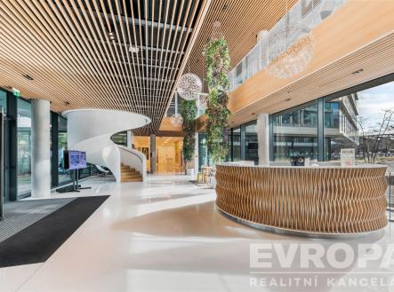 Pronájem kanceláře, 171 m²