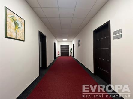 Pronájem kanceláře, 30 m²