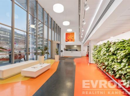 Pronájem kanceláře, 883 m²