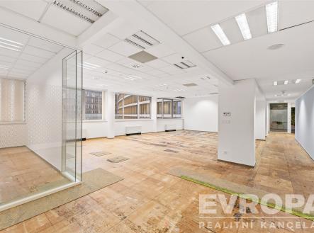 Pronájem kanceláře, 250 m²