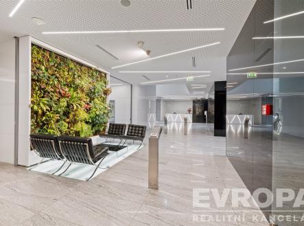 Pronájem kanceláře, 733 m²