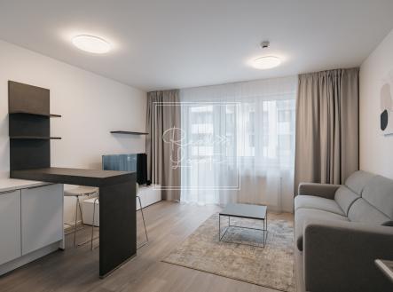 Pronájem bytu, 1+kk, 29 m²