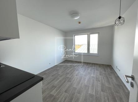 Pronájem bytu, 1+kk, 25 m²