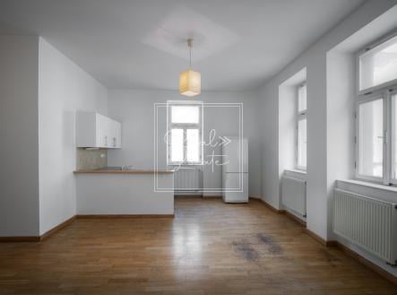 Pronájem bytu, 3+kk, 48 m² obrázek