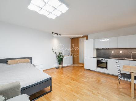 Pronájem bytu, 1+kk, 44 m² obrázek