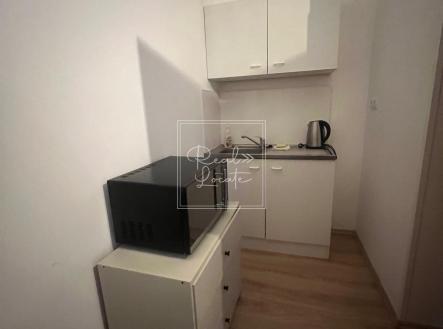 Pronájem bytu, 1+kk, 20 m²