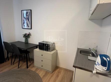 Pronájem bytu, 1+kk, 18 m²