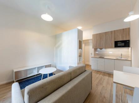 Pronájem bytu, 1+kk, 30 m²