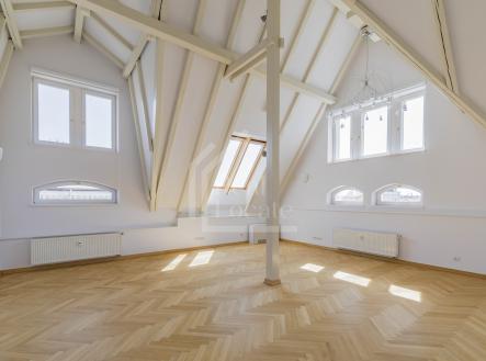 Pronájem bytu, 5+1, 286 m²