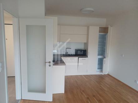 Pronájem bytu, 2+kk, 71 m²