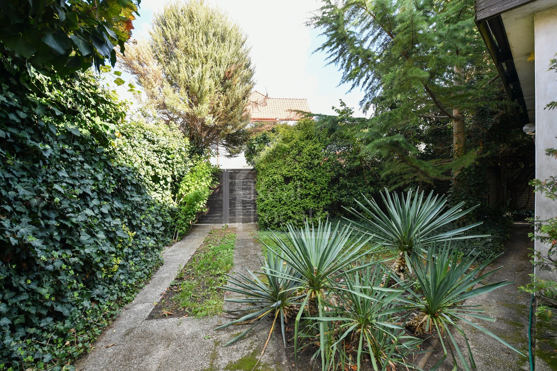 Prodej, rodinný dům, 162 m² + 538 m2 zahrada, Zeleneč - Praha - východ