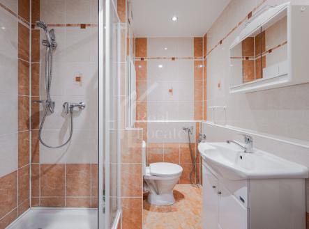 Prodej bytu, 1+1, 35 m²