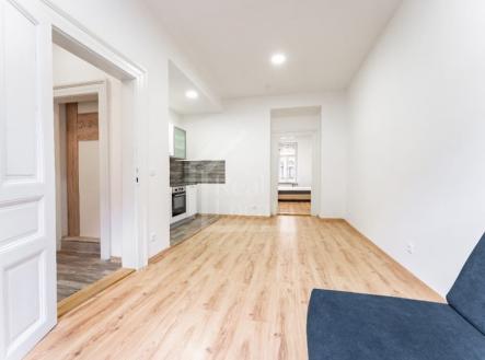 Pronájem bytu, 1+1, 48 m²