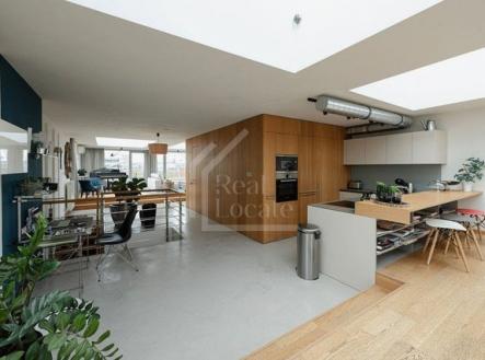 Pronájem bytu, 4+kk, 196 m²