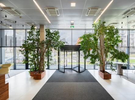 Pronájem kanceláře, 330 m²