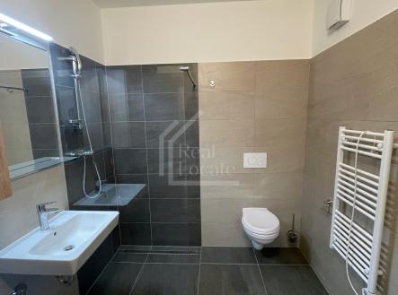 Pronájem bytu, 1+kk, 37 m²