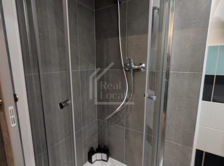 Pronájem bytu, 1+kk, 9 m²