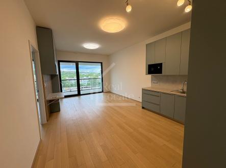 Pronájem bytu, 2+kk, 69 m²
