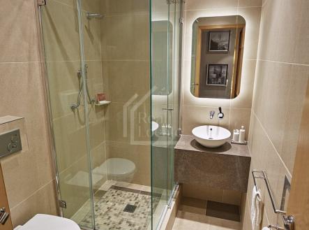 Pronájem bytu, 1+1, 33 m²