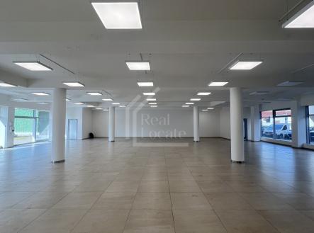 Pronájem obchodní prostory, 481 m²