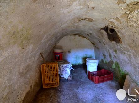 Sklep s klenutým stropem a se studánkou