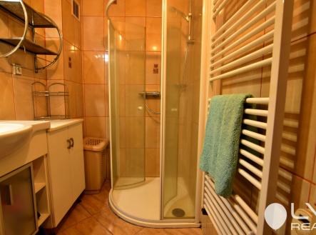 Koupelna se sprchovým koutem, umyvadlem a s otopným žebříkem