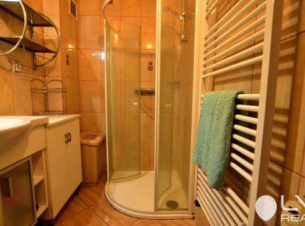 Koupelna se sprchovým koutem, umyvadlem a s otopným žebříkem