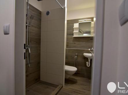 Pronájem bytu, 1+1, 38 m²