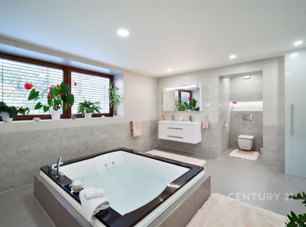 Prodej domu/vily, 267 m²