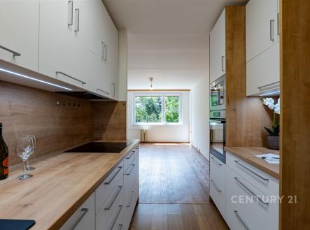 Pronájem bytu, 3+kk, 66 m²