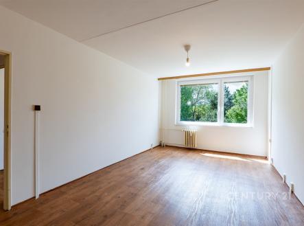 Pronájem bytu, 3+kk, 66 m²
