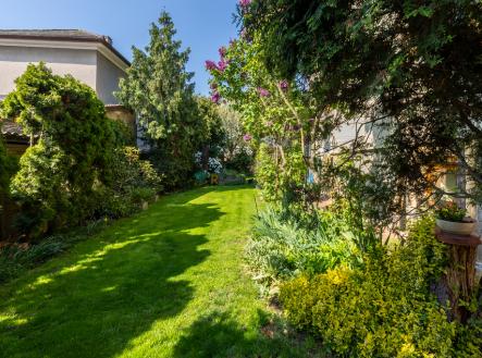 Prodej domu/vily, 294 m²