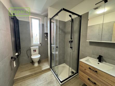 Pronájem bytu, 1+1, 39 m²