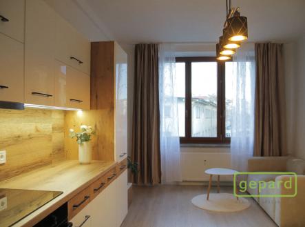 Pronájem bytu, 2+kk, 49 m²