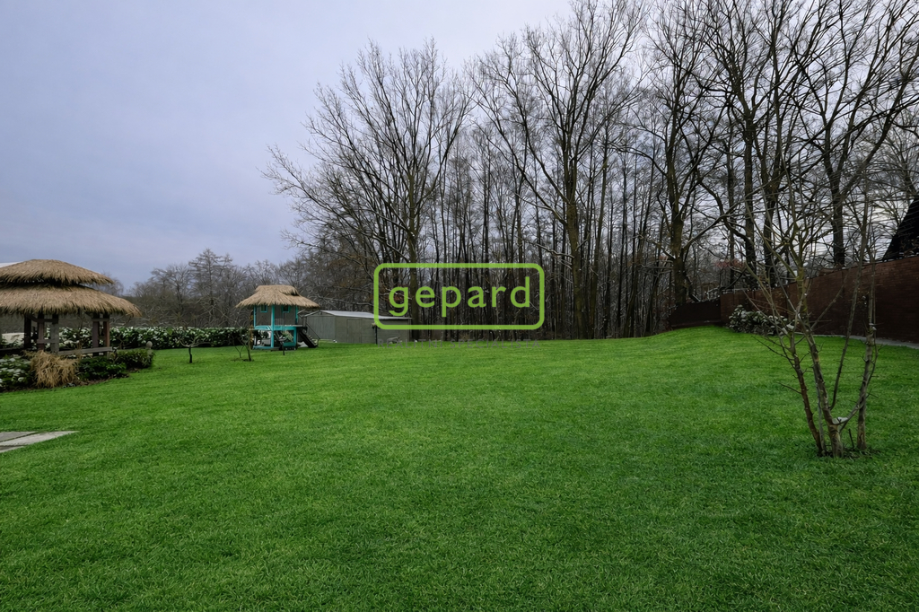 chatgpt-image-4.3.2026-10-57-52.png
