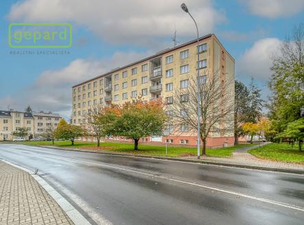Prodej bytu, 1+kk, 18 m² obrázek