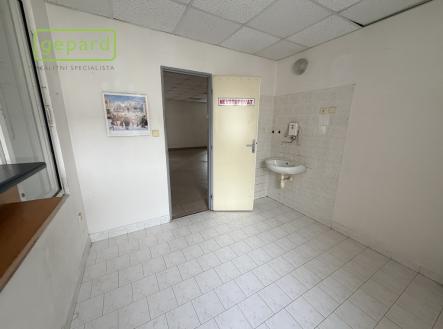 Pronájem obchodní prostor, 305 m²