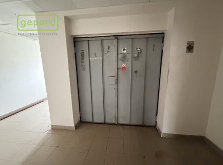 Pronájem obchodní prostor, 305 m²