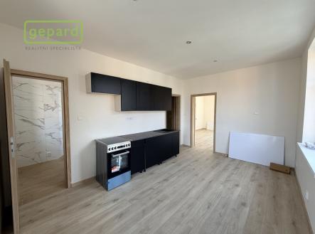 Pronájem bytu, 1+1, 55 m²