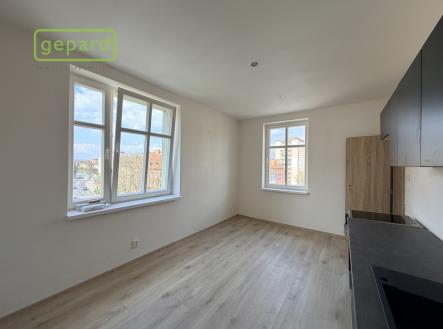 Pronájem bytu, 1+1, 55 m²