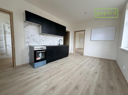 Pronájem bytu, 1+1, 55 m²