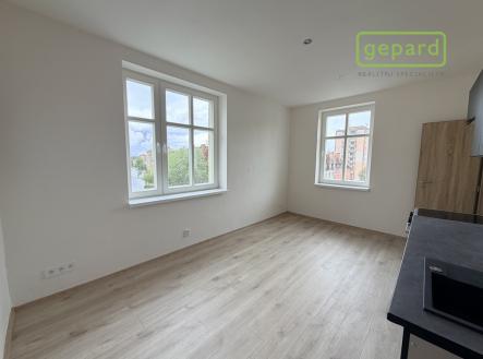 Pronájem bytu, 1+1, 55 m²