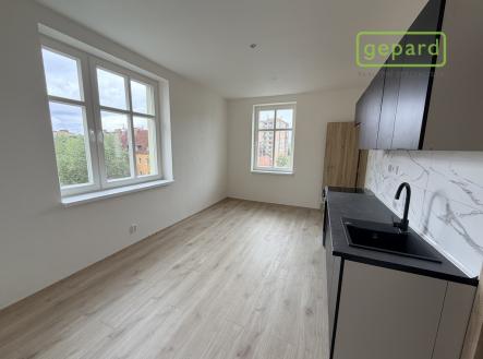 Pronájem bytu, 1+1, 55 m²